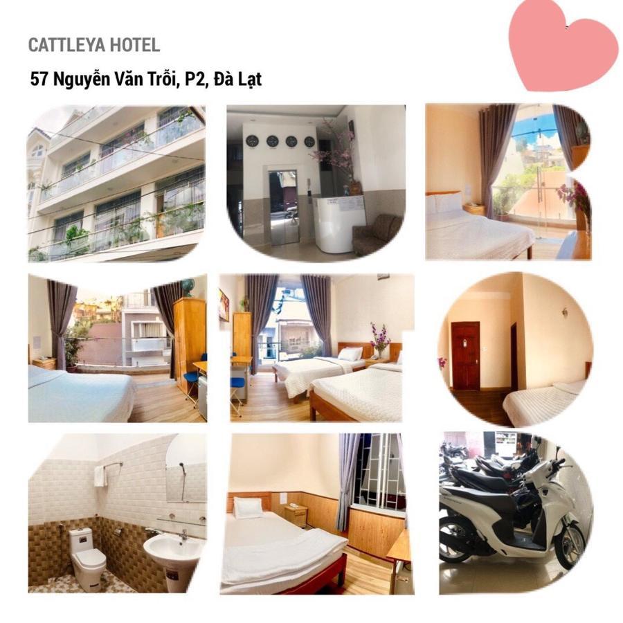 Cattleya Hotel Đà Lạt Ngoại thất bức ảnh